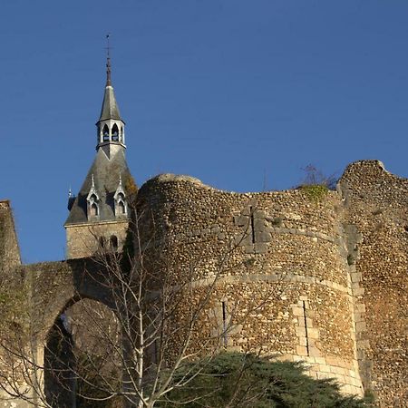 فيلا Gite "La Mesangerie" Château-Renard المظهر الخارجي الصورة