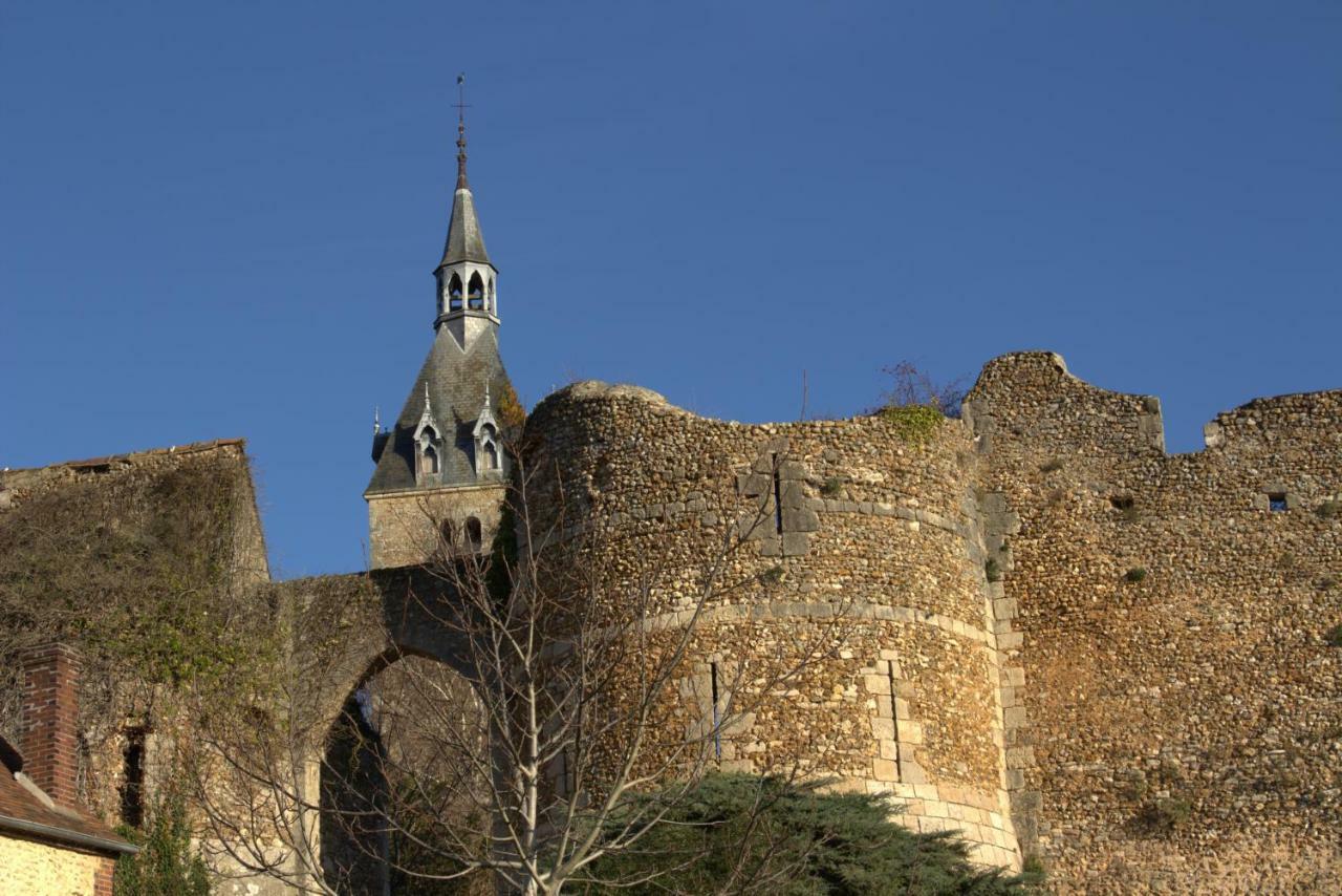 فيلا Gite "La Mesangerie" Château-Renard المظهر الخارجي الصورة